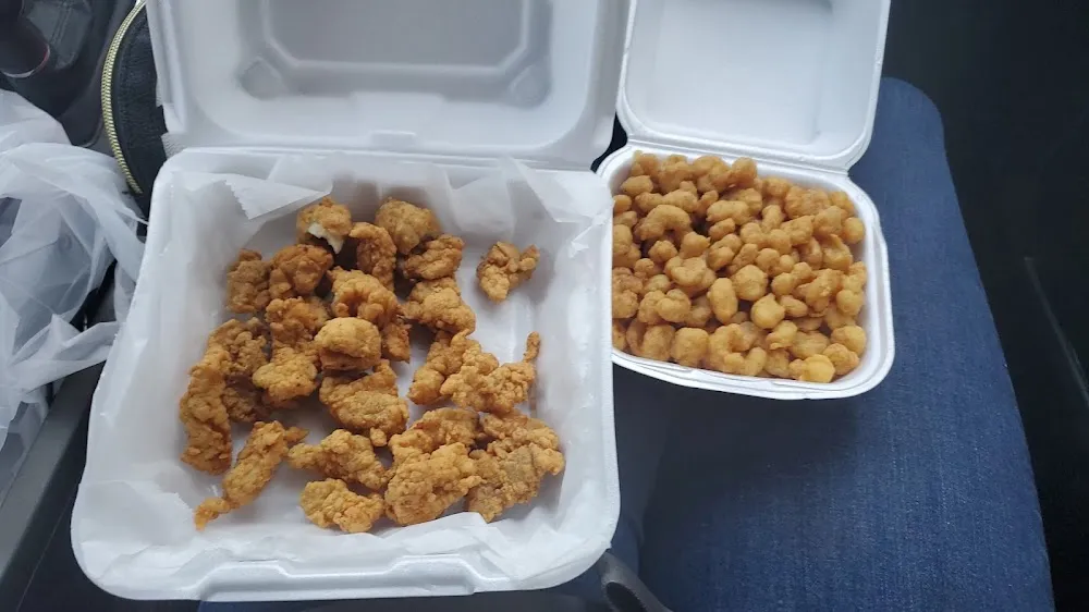 Alligator Bites